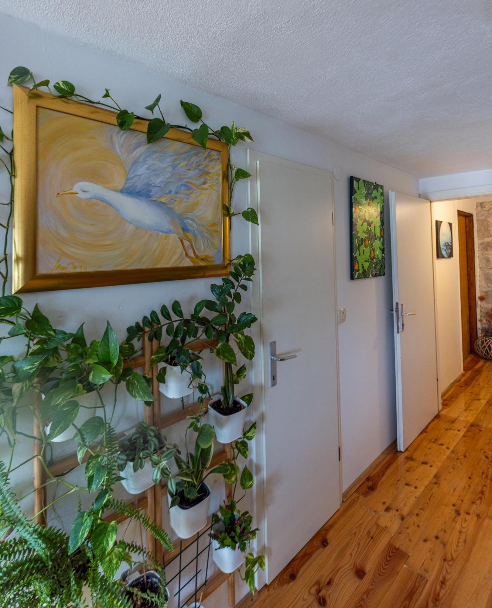 Apartament Old House Vodice Zewnętrze zdjęcie